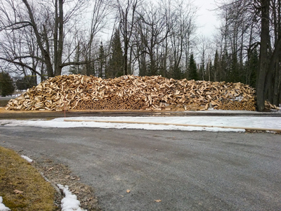 Wood Pile taken by Bob Lewis